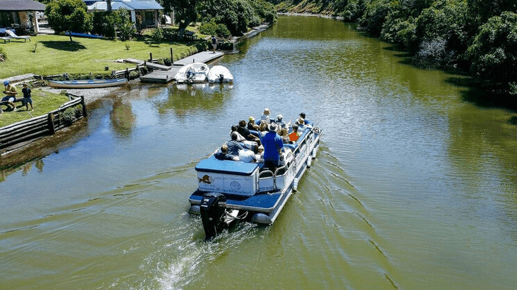 Cape St Francis Resort